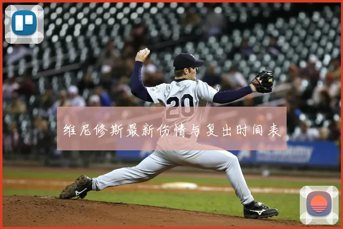 维尼修斯最新伤情与复出时间表